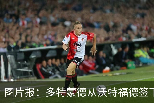 图片报：多特蒙德从沃特福德签下了一位草坪管理专家