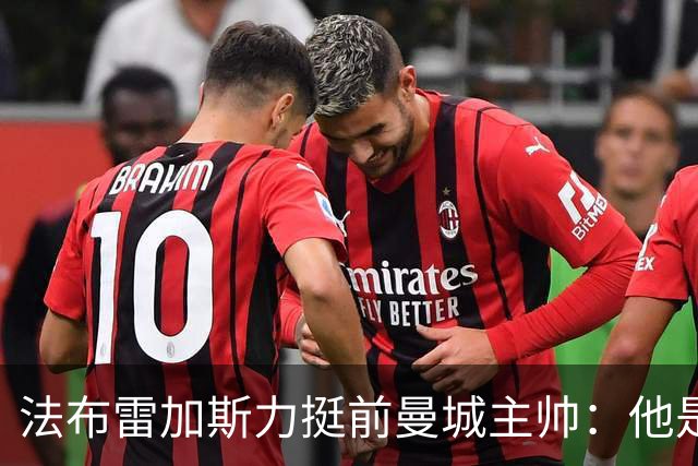 法布雷加斯力挺前曼城主帅：他是赢家，早已证明自己