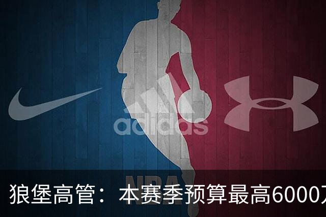狼堡高管：本赛季预算最高6000万欧，力争完成在德乙的目标